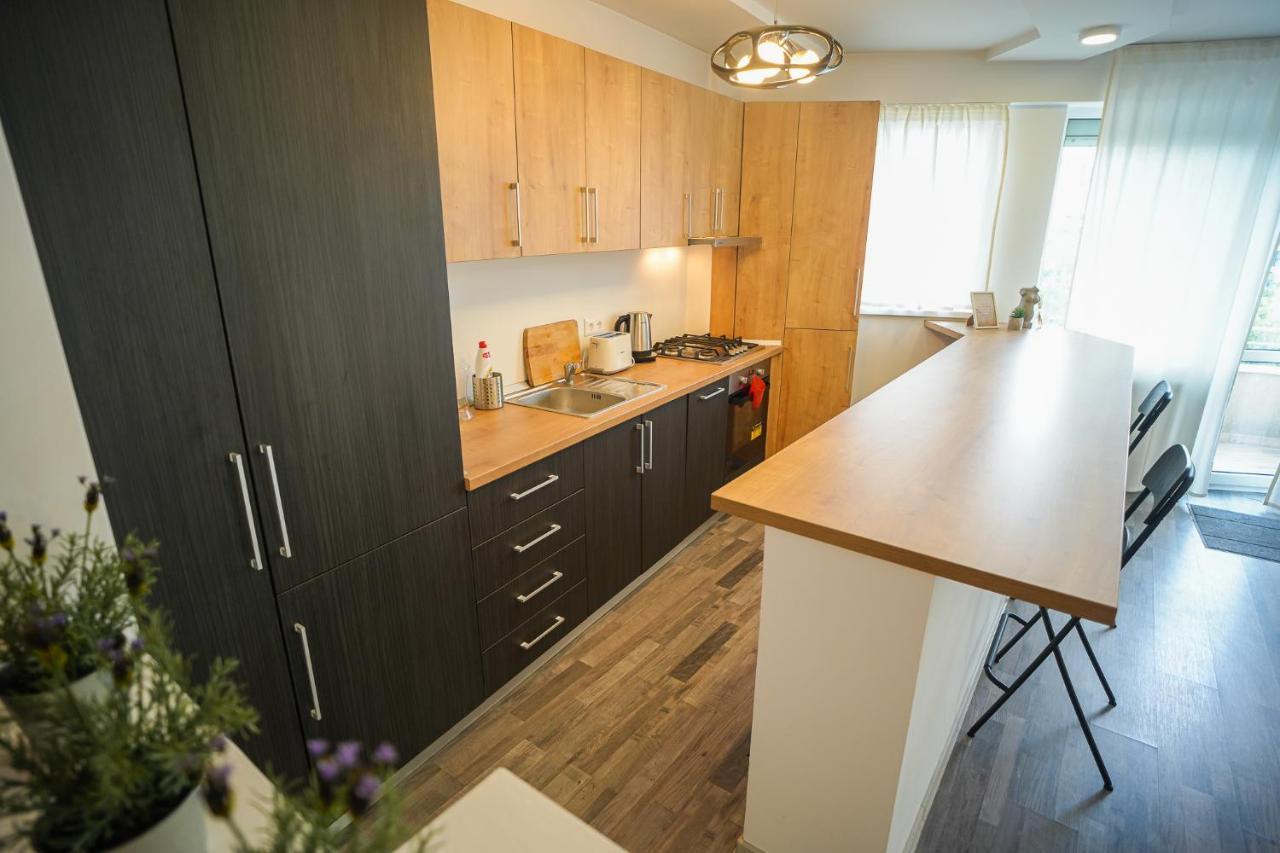 Penthouse With Huge Rooftop & Amazing City View Bucureşti Eksteriør bilde